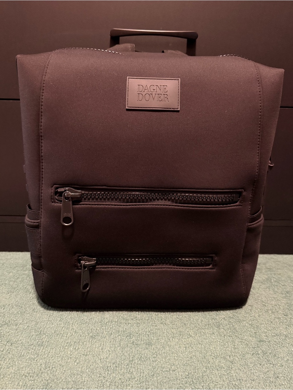 Dagne Dover Medium Indi Backpack